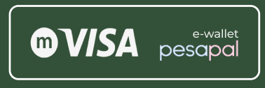 Visa Pesapal